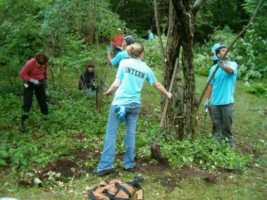 Norfolk Aggie Students Help Out!
