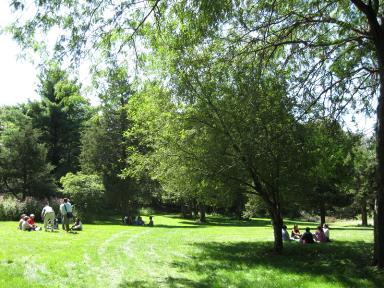 Teachers from Sarah Greenwood School take time out to explore ways to let their students explore Wakefield Estate