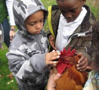 Wakefield Estate Partners with BPS Teachers and GOAL Network to Bring Hundreds of Boston Students to Site