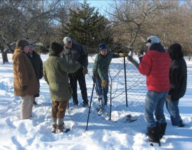 Fruit Tree Pruning Workshop launches Backyard Homesteading Series Fruit Tree Pruning Workshop launches Backyard Homesteading Series