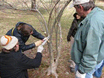 Wakefield Estate Hosts Pruning Workshop