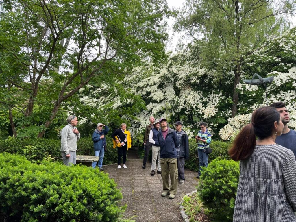 Wine, Cheese, and Dogwood Trees