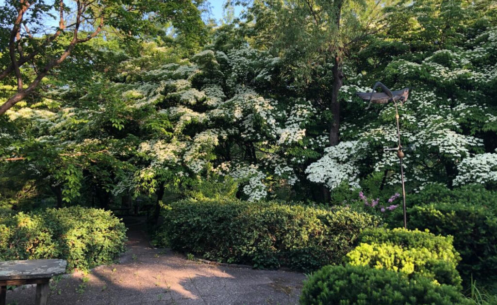 Dogwood Lane Quarterly