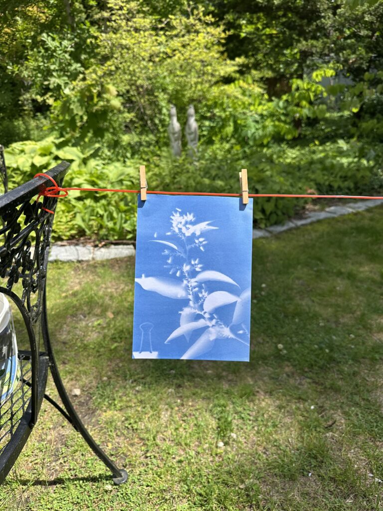 July Cyanotype Workshop July Cyanotype Workshop