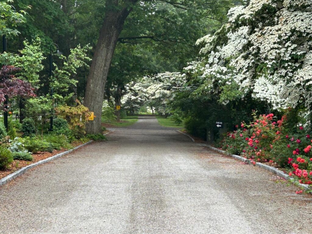 Dogwood Lane Summer Quarterly – Restoring the Historic Orchard at the Mary May Binney Wakefield Arboretum