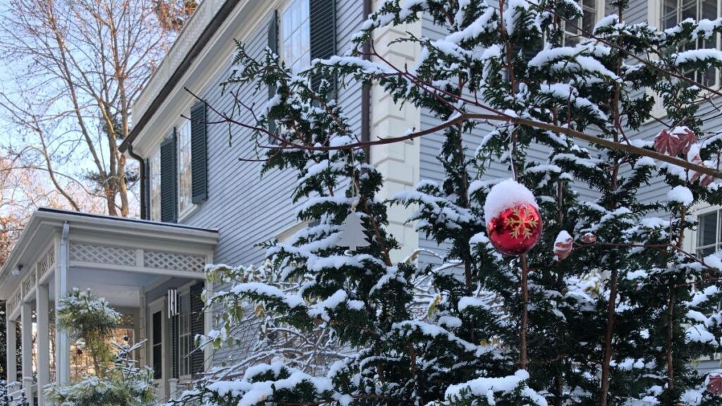 Enjoy our December e-newsletter