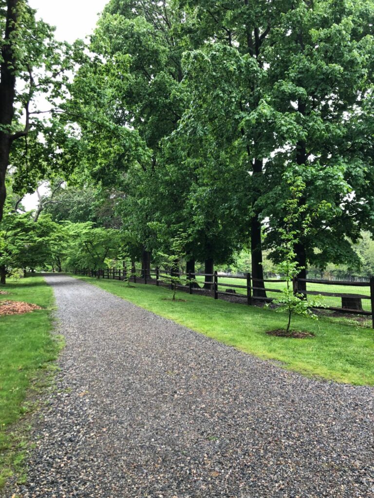 Dogwood Lane Vol. 6, Issue 3 – Expanding the Plant Collection at the Mary May Binney Wakefield Arboretum 