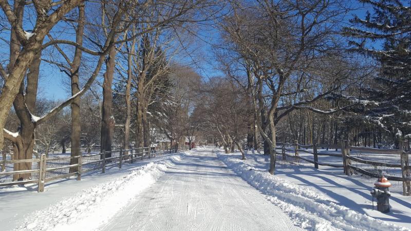 Dogwood Lane Vol. 1, Issue 2 – Horticulture Research at the Wakefield Estate