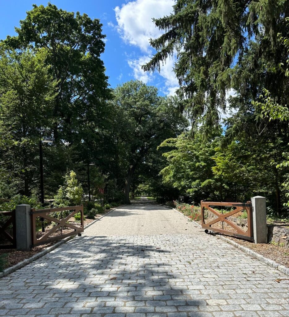 Dogwood Lane Vol. 6, Issue 4 – Plant Acession Updates at the Mary May Binney Wakefield Arboretum