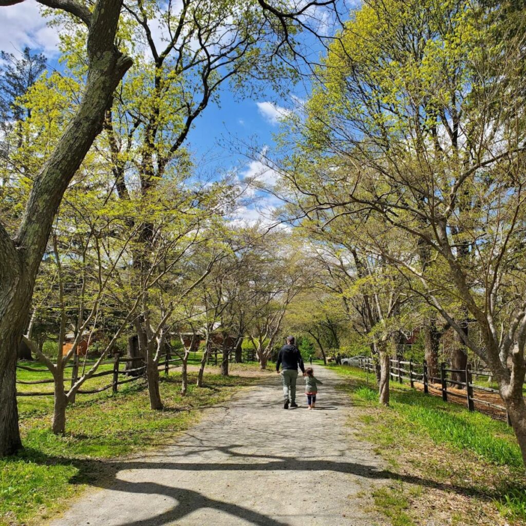 Dogwood Lane Vol. 4, Issue 3 – The Evolution of a Landscape: a photographic journey of the Mary May Binney Wakefield Arboretum