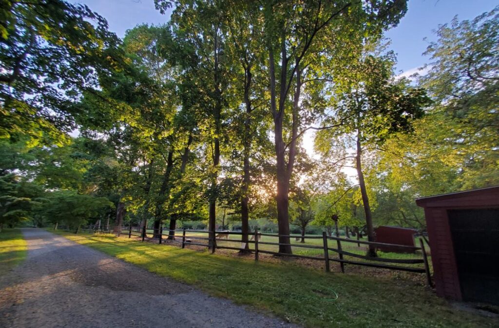 Dogwood Lane Vol. 2, Issue 4 – The Impact of Human Occupation on Local Land Use