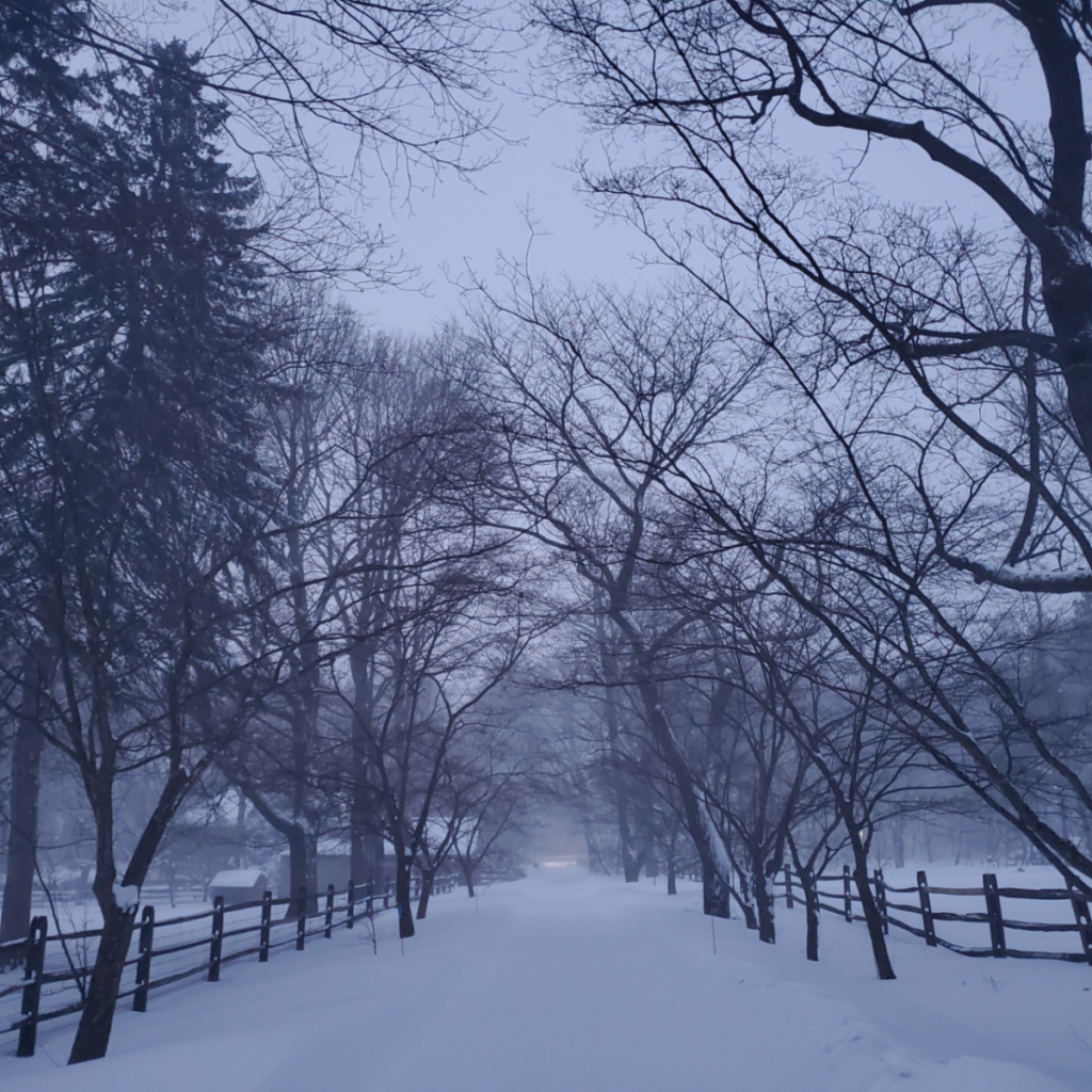 Dogwood Lane Vol. 4, Issue 2 – Polly’s Lifelong Commitment to Community and the Environment