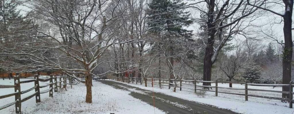 Dogwood Lane Vol. 2, Issue 2 – How We Draw Inspiration From Earth Day’s 50th Anniversary