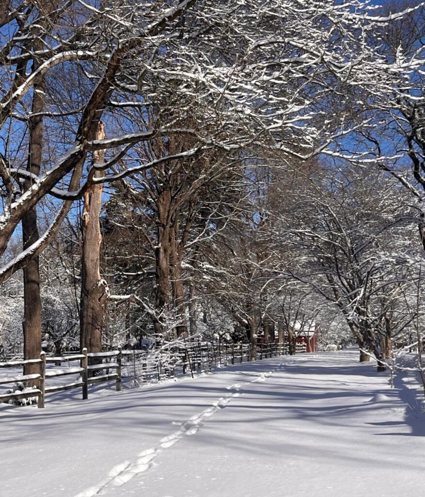 Enjoy our Janaury e-newsletter