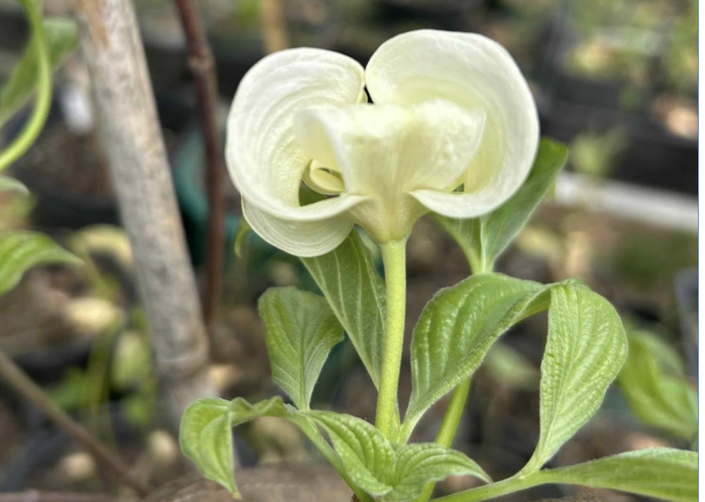 Enjoy our June e-newsletter!